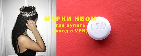 прущие грибы Баксан