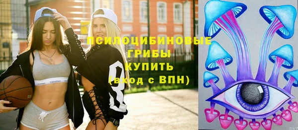 прущие грибы Баксан