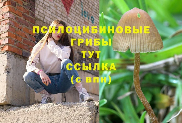 каннабис Балахна