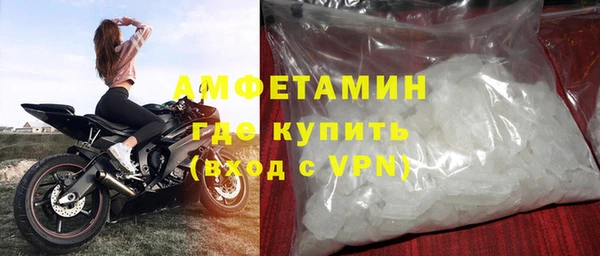 прущие грибы Баксан